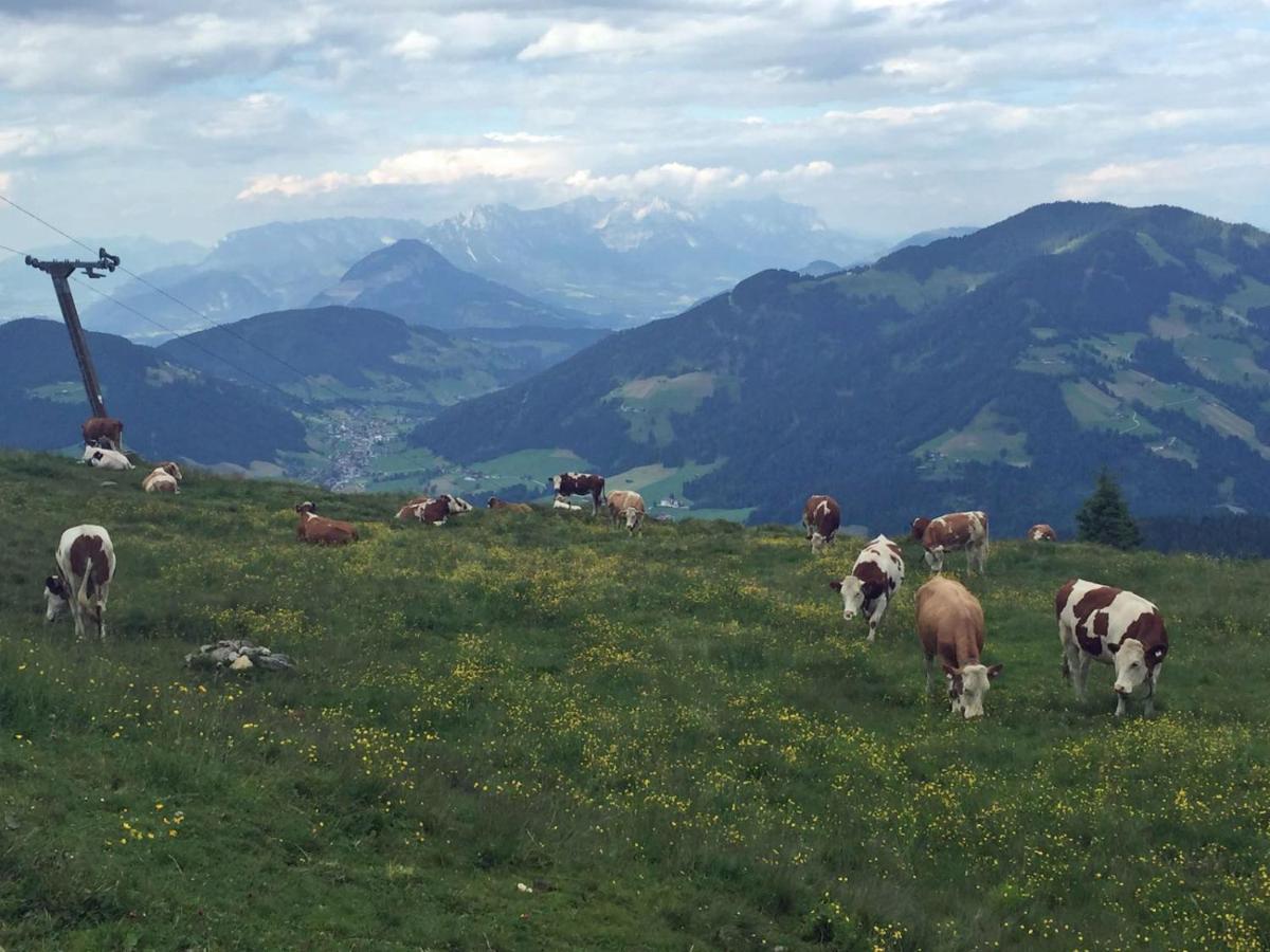 Berggasthof Schatzbergalm Thierbach Buitenkant foto